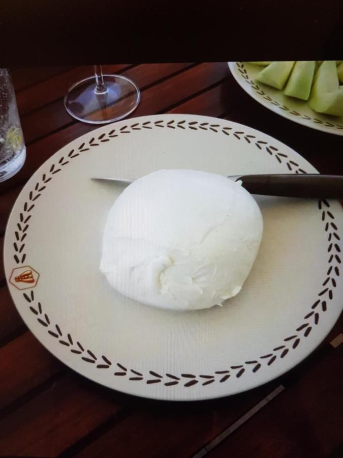 Appartamento Puccini ฟาซาโน ภายนอก รูปภาพ
